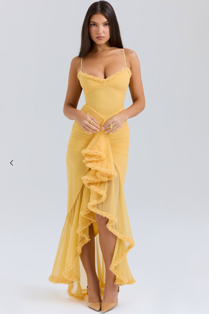 Alice | Stylish Elegant Maxi Dress