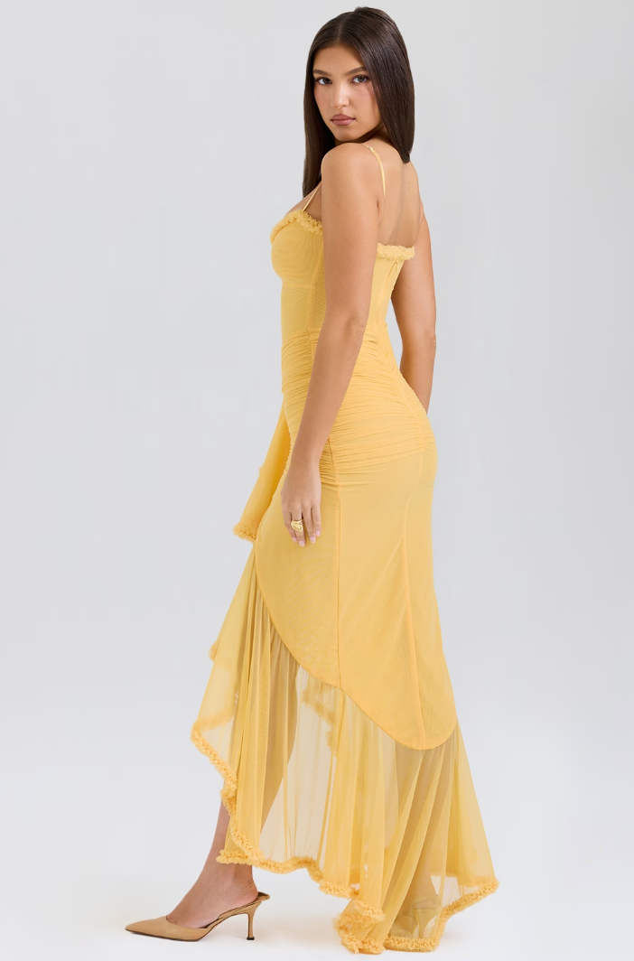 Alice | Stylish Elegant Maxi Dress